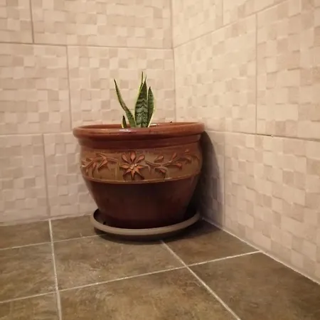 ο ακλόνητος 3*