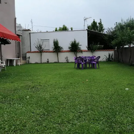 ο ακλόνητος *