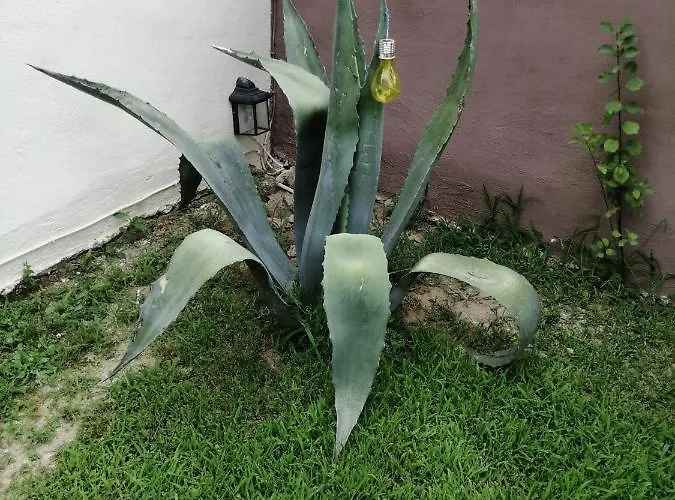 ο ακλόνητος 公寓式酒店 3*