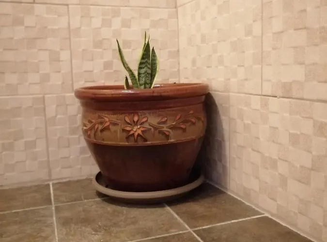 ο ακλόνητος 3*