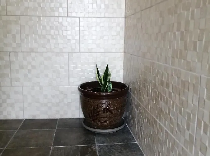 公寓式酒店 ο ακλόνητος 3*